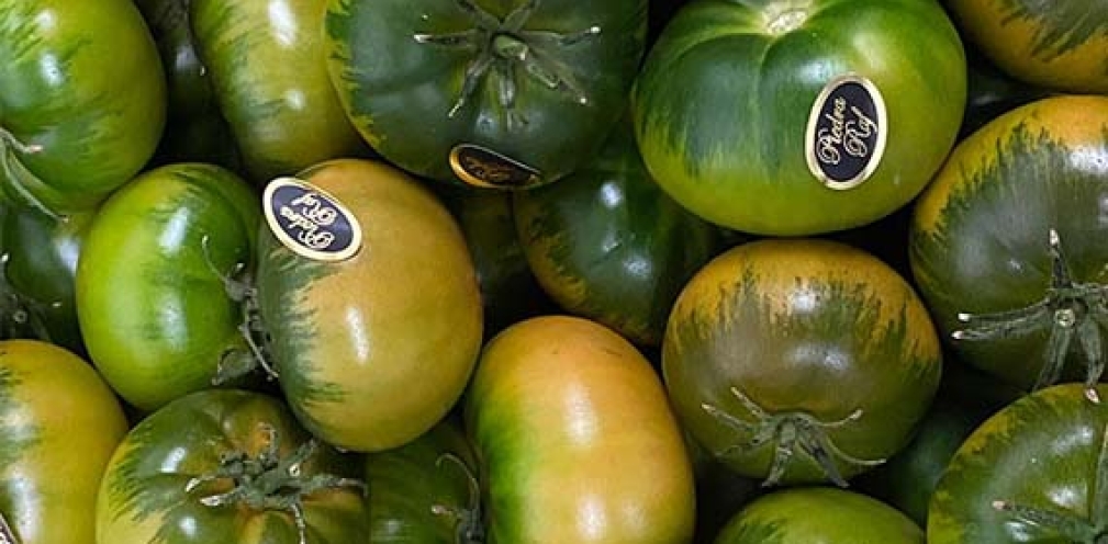 Tomate Mini de Piedra Raf: Sabor Único en Formato Compacto